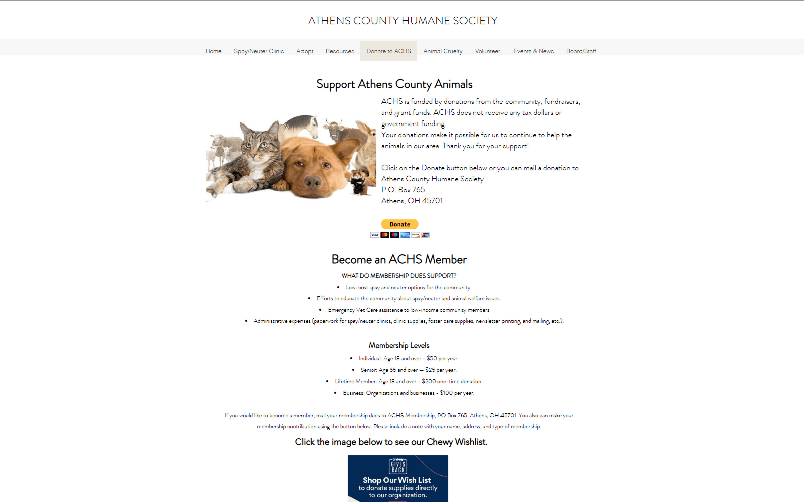 Heuristic audit of the donate page