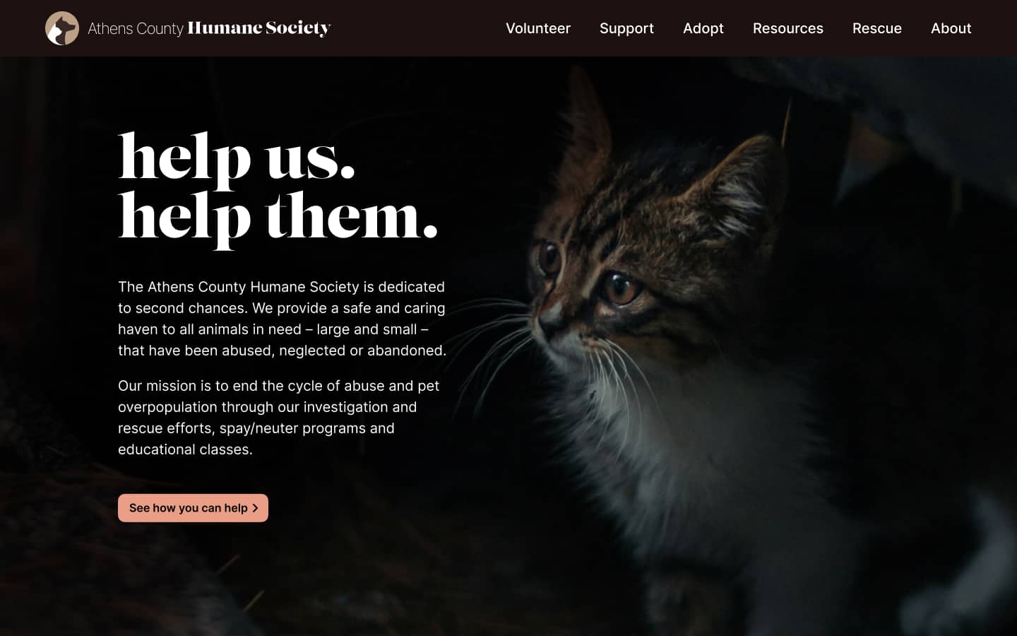 High-fidelity home page