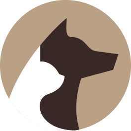 ACHS logo mark