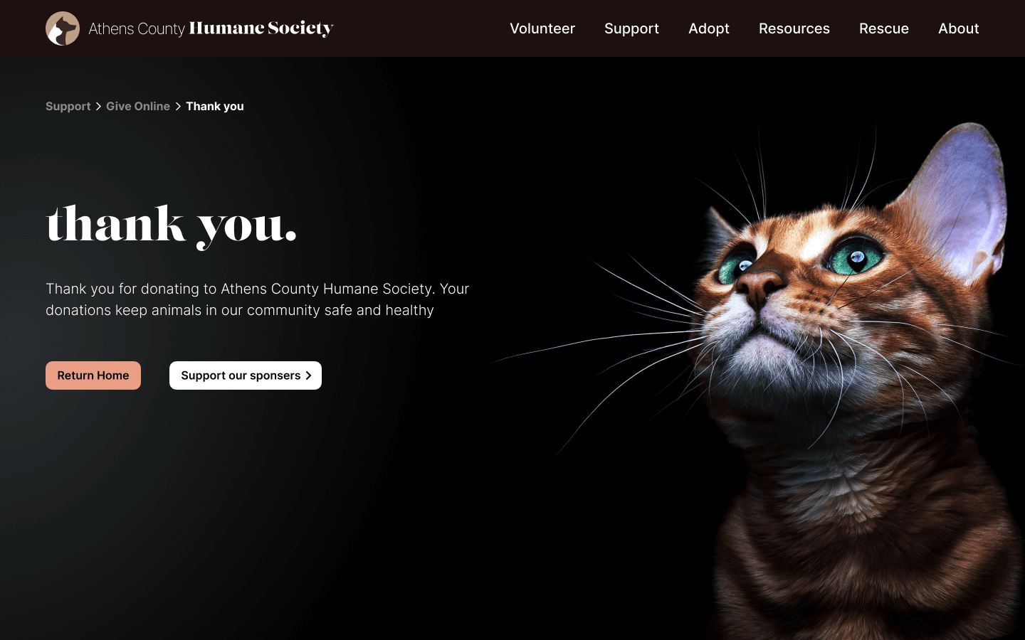High-fidelity confirmation screen