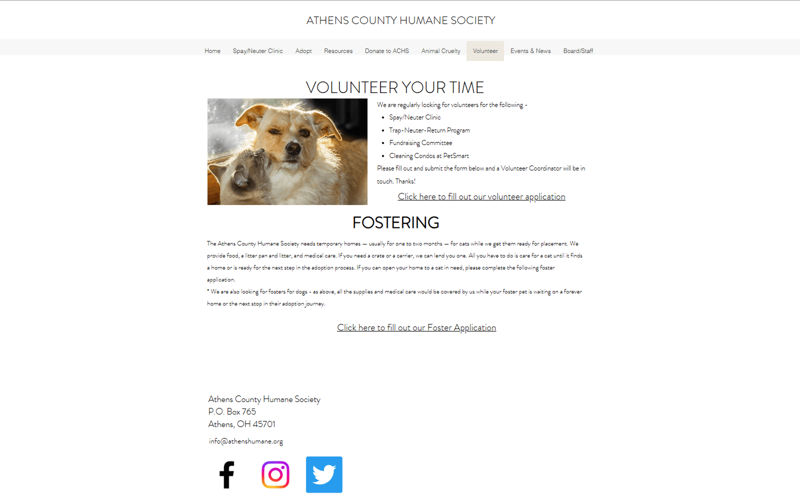 Heuristic audit of the volunteer page