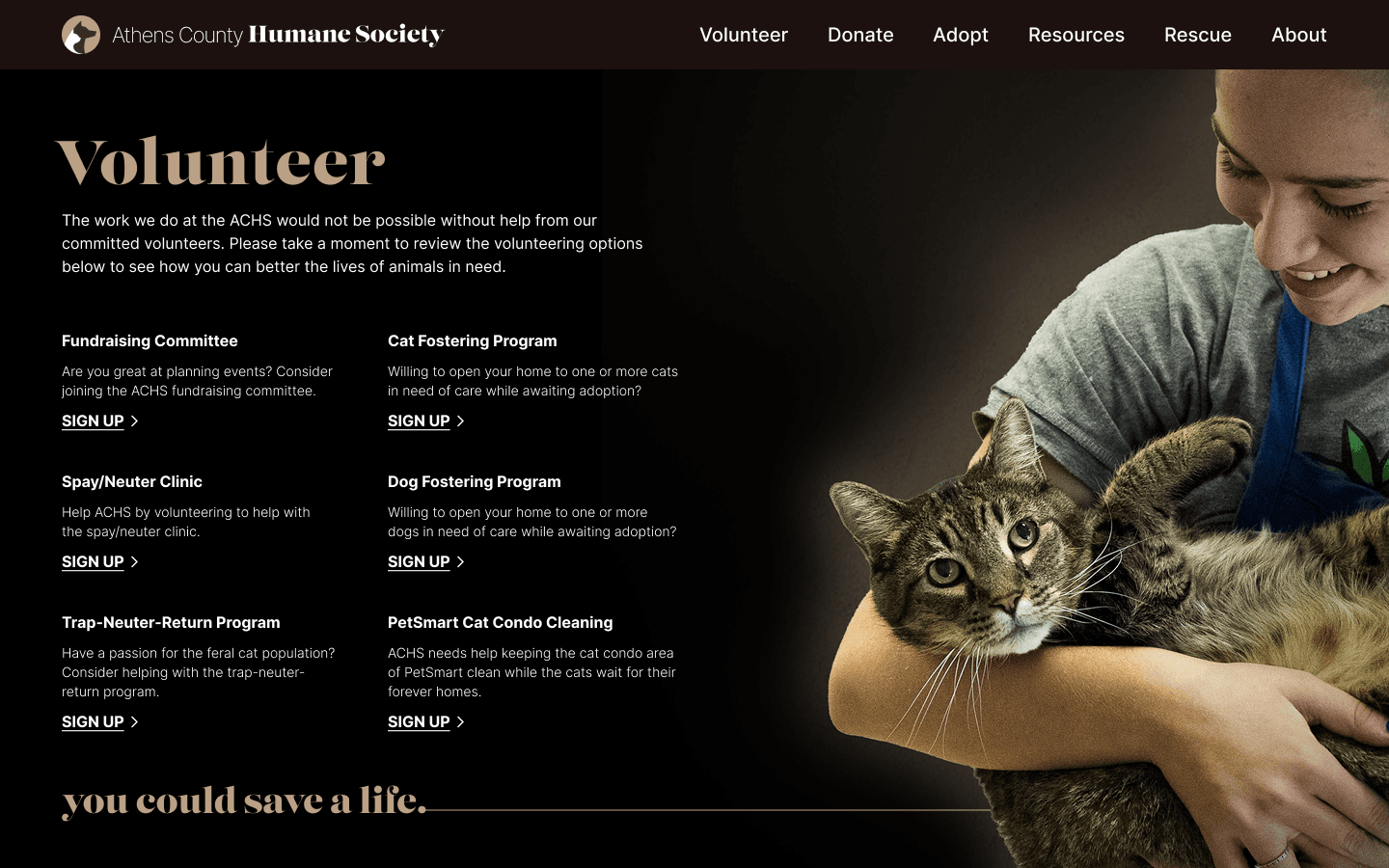 High-fidelity volunteer page